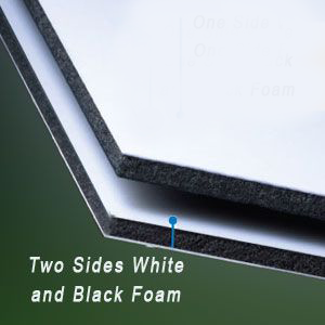 Black-White Gator Board